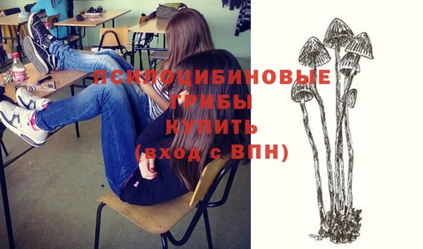 МДМА Медвежьегорск
