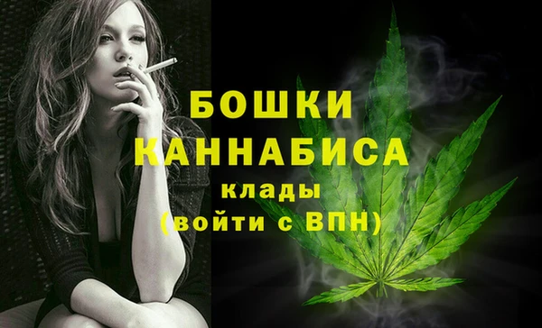сатива Михайлов
