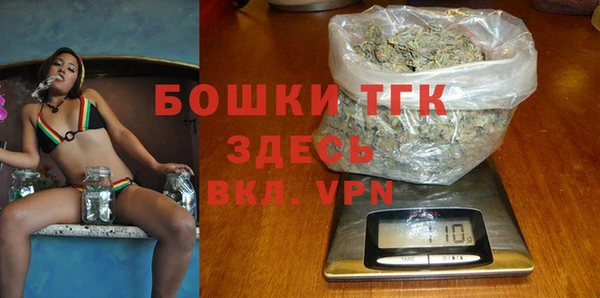сатива Михайлов
