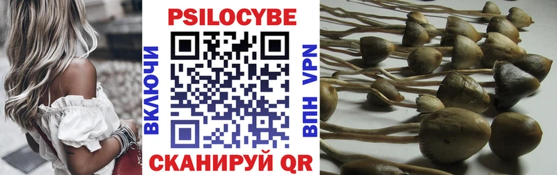 МЕГА   Киселёвск  Галлюциногенные грибы Psilocybine cubensis  наркошоп 